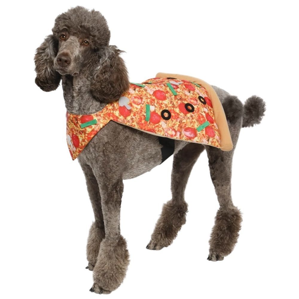 Vibrant Life Pizza Pet Costume | Size M